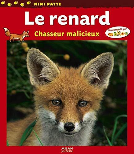 Le renard : chasseur malicieux