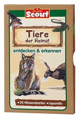 Scout Lernkarten-Box - Tiere der Heimat: entdecken & erkennen