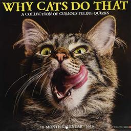 Why Cats Do That 2019 Wall Calendar