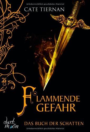 Das Buch der Schatten - Flammende Gefahr: Band 4