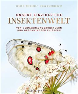 Bildband: Unsere einzigartige Insektenwelt. Von Verwandlungskünstlern und beschwingten Fliegern. Ein opulenter Bildband über die Vielfalt und Schönheit einer schützenswerten Art.