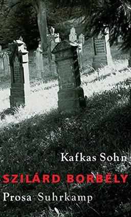 Kafkas Sohn: Prosa