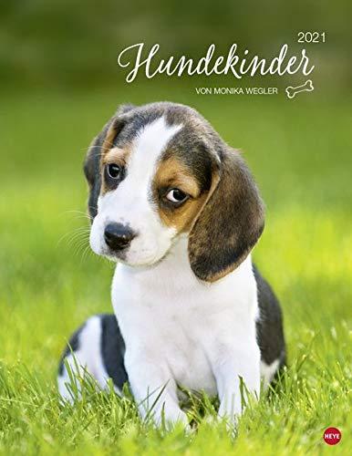 Hundekinder Posterkalender von Monika Wegler - niedlicher Wandkalender 2021 mit vielen Fotos und lustigen Mini-Geschichten - mit Monatskalendarium - Format 34 x 44 cm