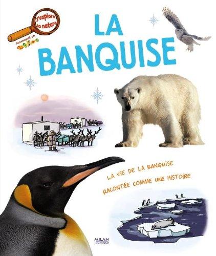 La banquise : la vie de la banquise racontée comme une histoire