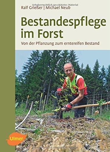 Bestandespflege im Forst: Von der Pflanzung zum erntereifen Bestand