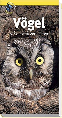 Vögel erkennen und bestimmen: Wegweiser Natur