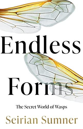 Endless Forms: The Secret World of Wasps