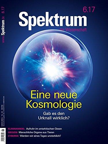 Die Struktur des Kosmos: Astronomen und Quantenphysiker lösen die letzten Rätsel (Spektrum Spezial - Physik, Mathematik, Technik)