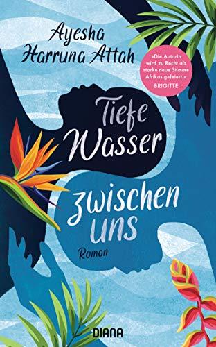 Tiefe Wasser zwischen uns: Roman