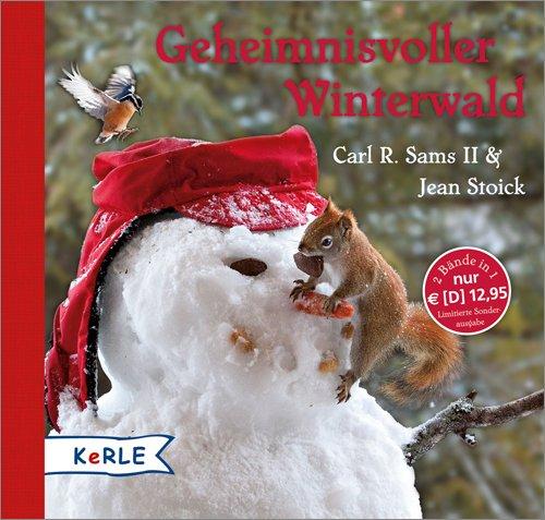 Geheimnisvoller Winterwald