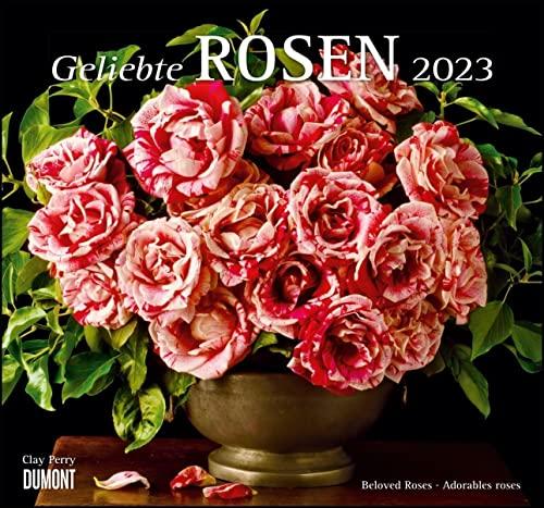 Geliebte Rosen 2023 – DUMONT Wandkalender – mit allen wichtigen Feiertagen – Format 38,0 x 35,5 cm