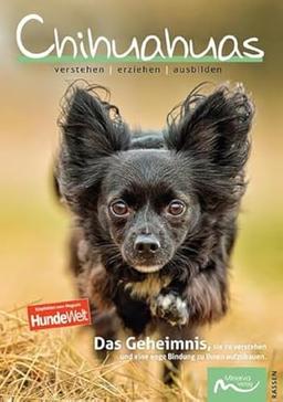 Chihuahuas: verstehen | erziehen | ausbilden