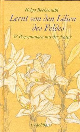 Lernt von den Lilien des Feldes