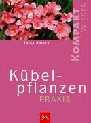 Kübelpflanzen-Praxis