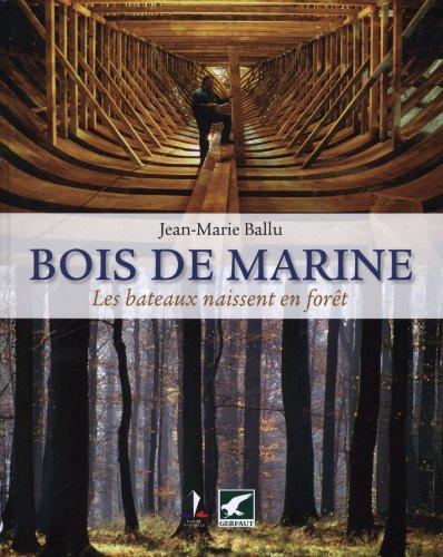 Bois de marine : les bateaux naissent en forêt