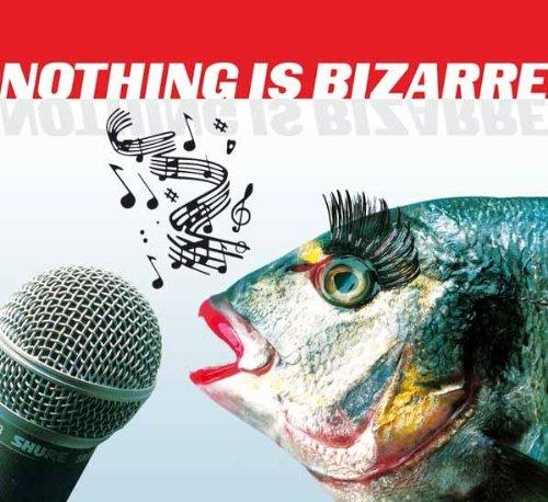 Nothing Is Bizarre - Skurrile Musikalische Raritäten