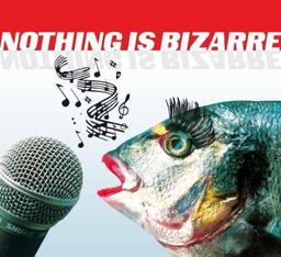 Nothing Is Bizarre - Skurrile Musikalische Raritäten