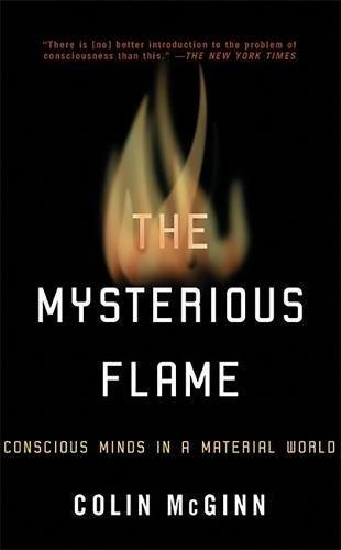 The Mysterious Flame: Conscious Minds In: Conscious Minds in a Material World