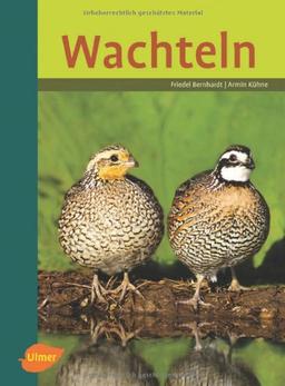 Wachteln