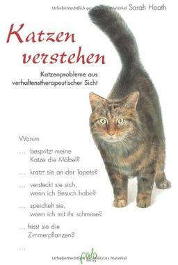 Katzen verstehen