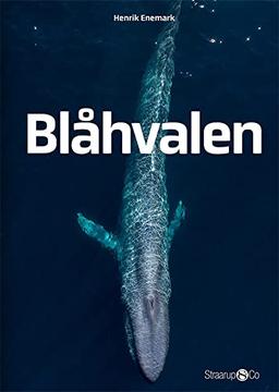 Blahvalen