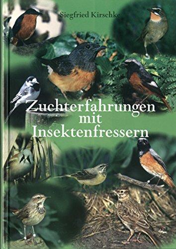 Zuchterfahrungen mit Insektenfressern