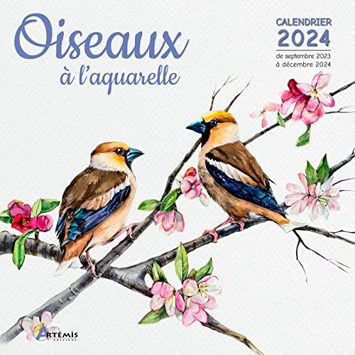 Oiseaux à l'aquarelle : calendrier 2024 : de septembre 2023 à décembre 2024