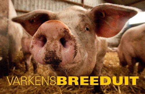 Varkens Breeduit