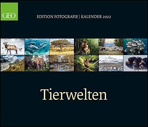 GEO Edition: Tierwelten 2022 - Wand-Kalender - Tier-Kalender - 70x60: Posterkalender