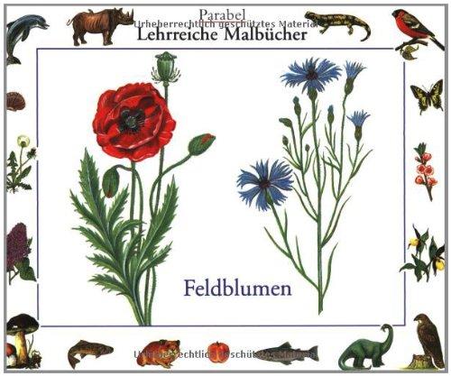 Feldblumen