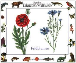 Feldblumen