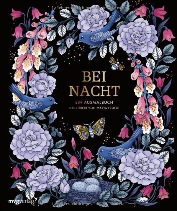 Bei Nacht – Ein Ausmalbuch