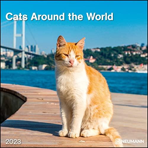 Cats Around the World 2023 - Wand-Kalender - Broschüren-Kalender - 30x30 - 30x60 geöffnet - Katzen-Kalender (GRID CALENDAR)