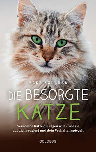 Die besorgte Katze: Was deine Katze dir sagen will – wie sie auf dich reagiert und dein Verhalten spiegelt