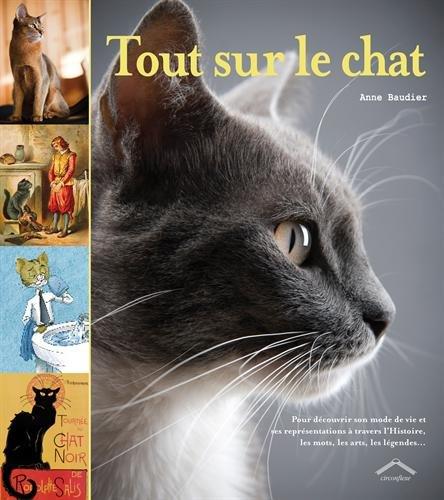 Tout sur le chat