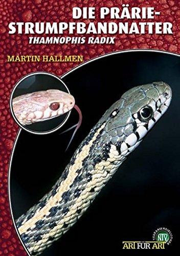 Die Prärie-Strumpfbandnatter: Thamnophis radix (Art für Art / Terraristik)