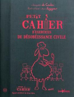 Petit cahier d'exercices de désobéissance civile