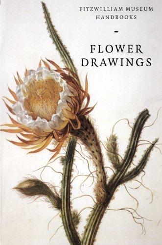 Flower Drawings (Fitzwilliam Museum Handbooks)