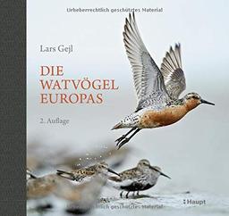 Die Watvögel Europas