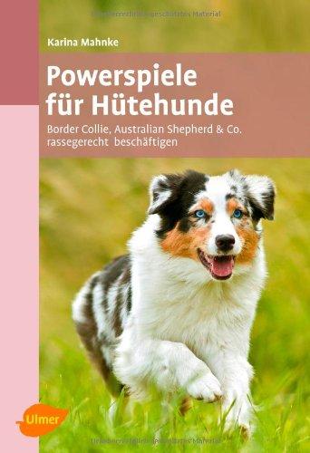 Powerspiele für Hütehunde: Border Collie, Australian Shepherd und Co. rassegerecht beschäftigen