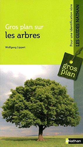 Gros plan sur les arbres : reconnaître et déterminer les feuillus et conifères d'Europe