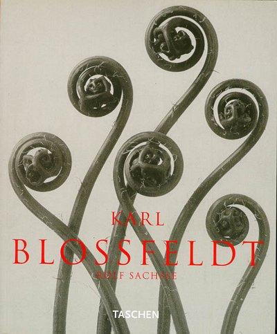 Karl Blossfeldt : photographies