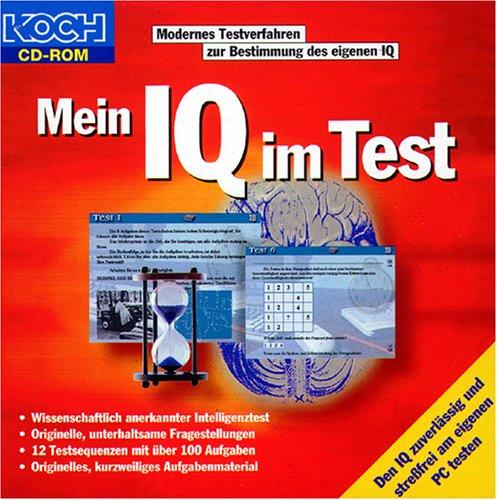 Mein IQ im Test