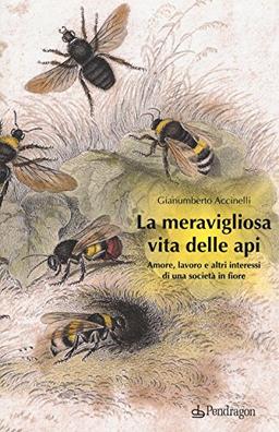 La meravigliosa vita delle api. Amore, lavoro e altri interessi di una società in fiore