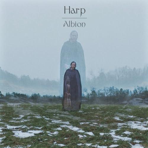 Albion [Vinyl LP]