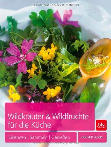 Wildkräuter & Wildfrüchte für die Küche: Erkennen | Sammeln | Genießen