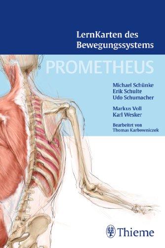 PROMETHEUS LernKarten des Bewegungssystems