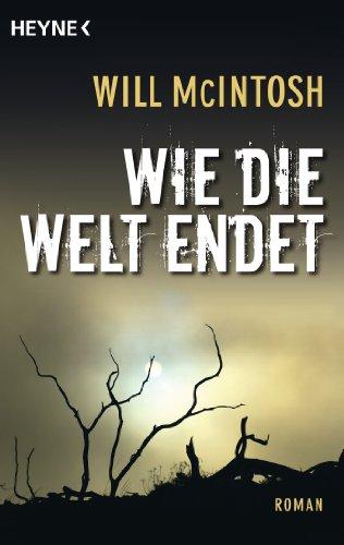 Wie die Welt endet: Roman