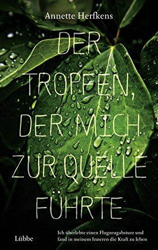 Der Tropfen, der mich zur Quelle führte: Ich überlebte einen Flugzeugabsturz und fand in meinem Inneren die Kraft zu leben (Erfahrungen)