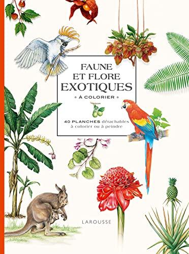 Faune et flore exotiques à colorier : 40 planches détachables à colorier ou à peindre